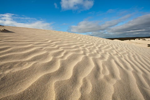 Penneshaw Oceanview Apartments - VIC Tourism 24