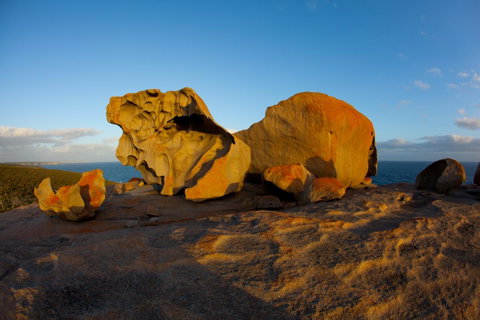 Penneshaw Oceanview Apartments - VIC Tourism 21