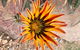 Aussie Opal Diggers Outback Retreat-Undergound - thumb 26