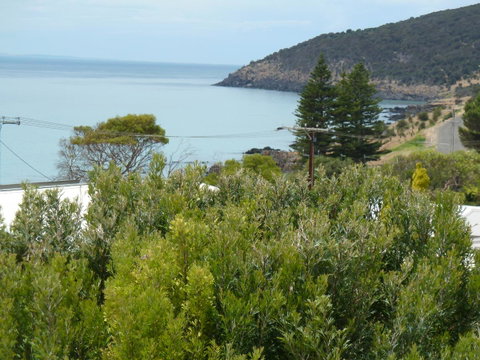 SeaShells Penneshaw - VIC Tourism 38