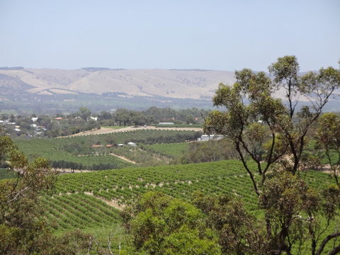 Elandra Holiday Home - VIC Tourism 18