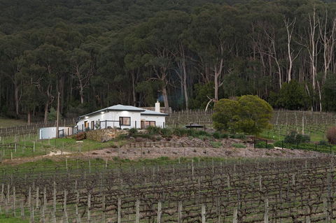 Esto House - VIC Tourism 3
