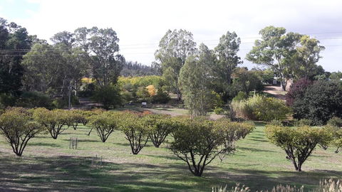 Taralee Orchards - VIC Tourism 1