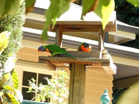 Aldgate Valley Bed And Breakfast - VIC Tourism 42