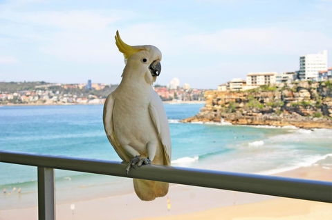 Beachfront Bliss - VIC Tourism 23