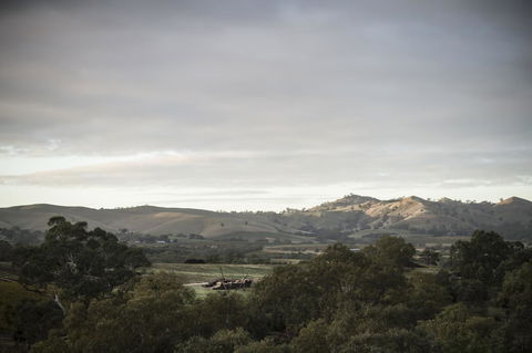 Novotel Barossa Valley Resort - VIC Tourism 23