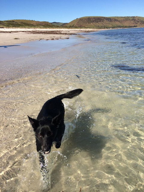 Beachside Holiday Park - VIC Tourism 17
