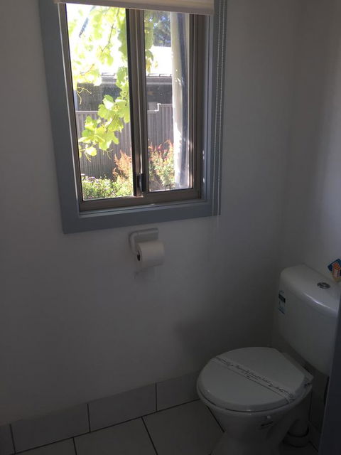 SHAKIN' SHACK - VIC Tourism 17