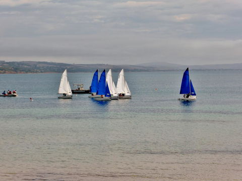 Hilton Beachfront Motel - VIC Tourism 21