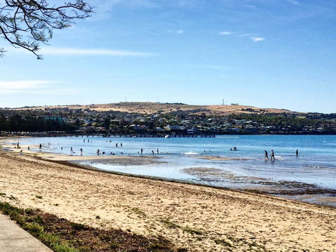 Hilton Beachfront Motel - VIC Tourism 25