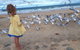 Moana Beach Tourist Park - thumb 9