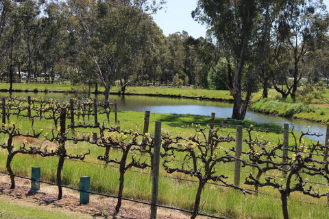 OXENBERRY FARM - VIC Tourism 19
