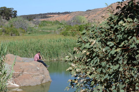 Burra Motor Inn - VIC Tourism 34