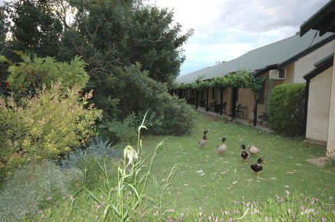 Burra Motor Inn - VIC Tourism 24