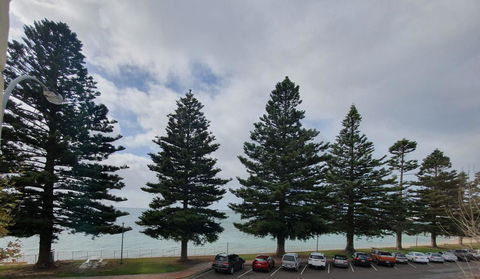 Pier Hotel Port Lincoln - VIC Tourism 12