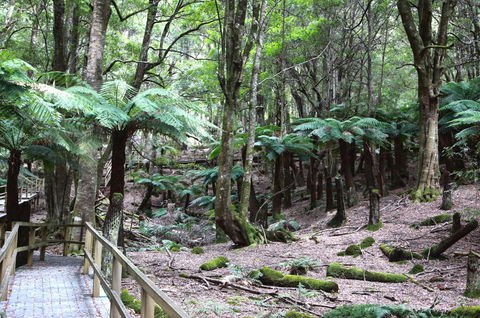 Wallace Lodge - PID-STRA-16871 - VIC Tourism 11