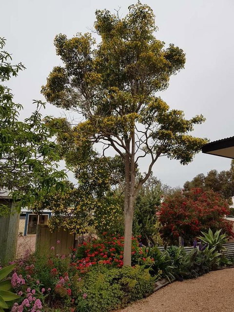 Sinclair Cottage - VIC Tourism 25