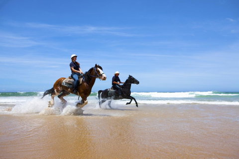 One Mile Retreat - VIC Tourism 26