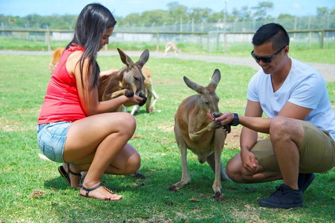 One Mile Retreat - VIC Tourism 25