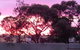 Wudinna Gawler Ranges Motel And Caravan Park - thumb 11