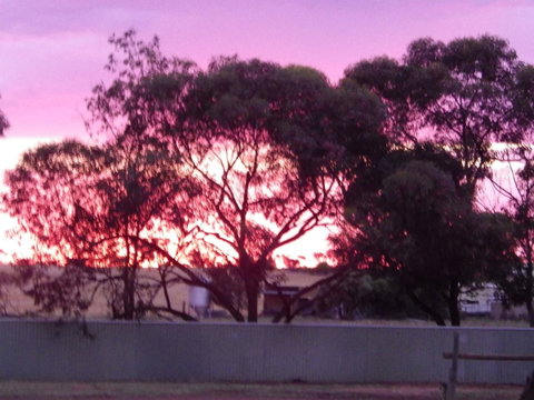 Wudinna Gawler Ranges Motel And Caravan Park - VIC Tourism 11