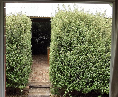 A2@Port Willy - VIC Tourism 13