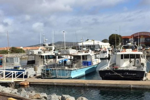 Port Lincoln Shark Apartment 2 - VIC Tourism 17