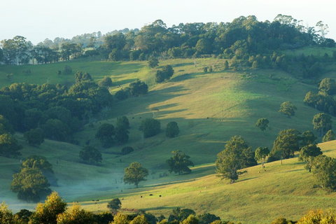SummerHills Retreat Byron Bay - VIC Tourism 20