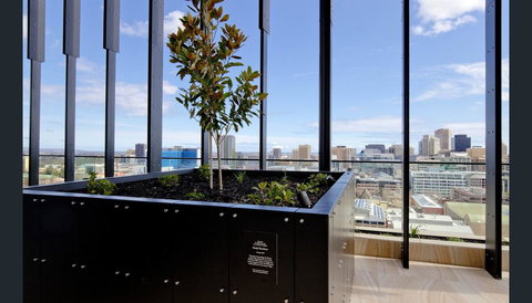 ONE Adelaide CBD - VIC Tourism 33