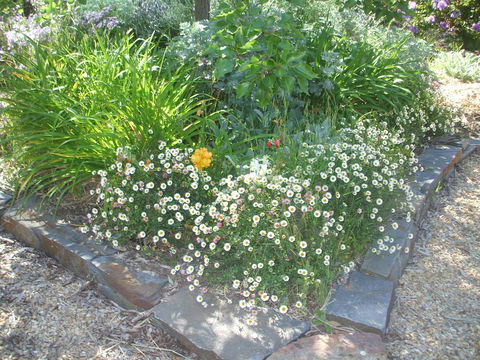 Archery Road Estate - VIC Tourism 15