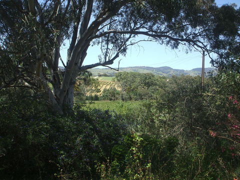 Archery Road Estate - VIC Tourism 0