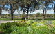 Linger Longer Vineyard - thumb 17