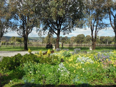 Linger Longer Vineyard - VIC Tourism 17