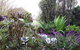 Linger Longer Vineyard - thumb 15