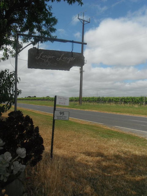 Linger Longer Vineyard - VIC Tourism 19