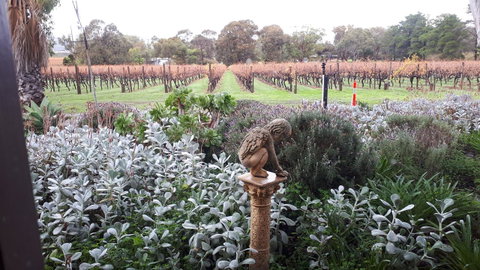 Linger Longer Vineyard - VIC Tourism 4