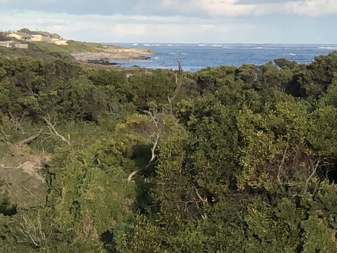 Rocks Retreat House With Sea Views - VIC Tourism 3