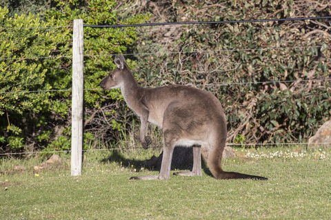 Chandlers Smiths Beach Villas - VIC Tourism 15
