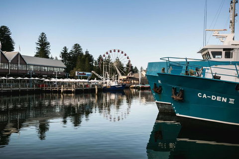 Oceanside 23 - VIC Tourism 25