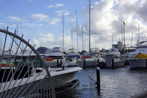 Oceanside 23 - VIC Tourism 24