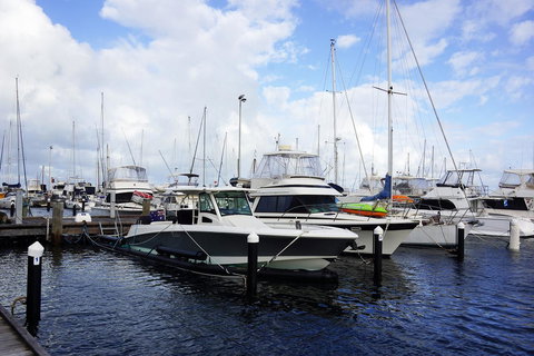 Oceanside 23 - VIC Tourism 23