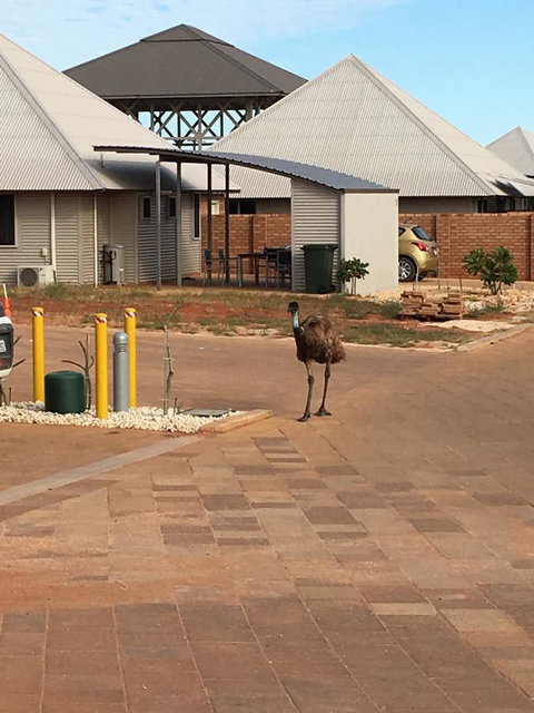 Escape 2 Exmouth - VIC Tourism 16