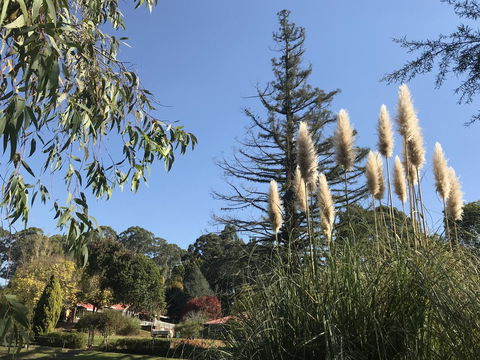 Forest Lodge Resort - VIC Tourism 24