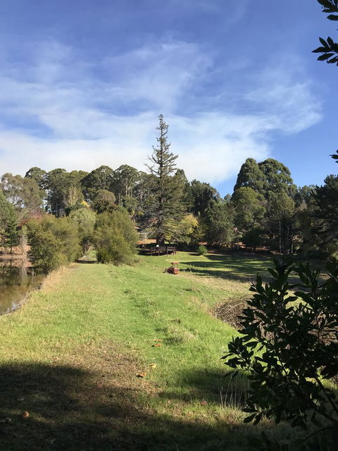 Forest Lodge Resort - VIC Tourism 31