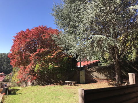 Forest Lodge Resort - VIC Tourism 42