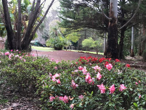Forest Lodge Resort - VIC Tourism 12