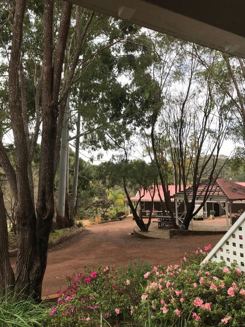 Forest Lodge Resort - VIC Tourism 9