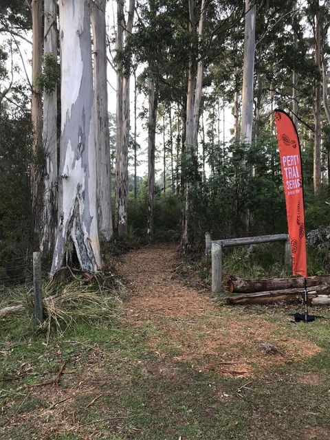 Forest Lodge Resort - VIC Tourism 28