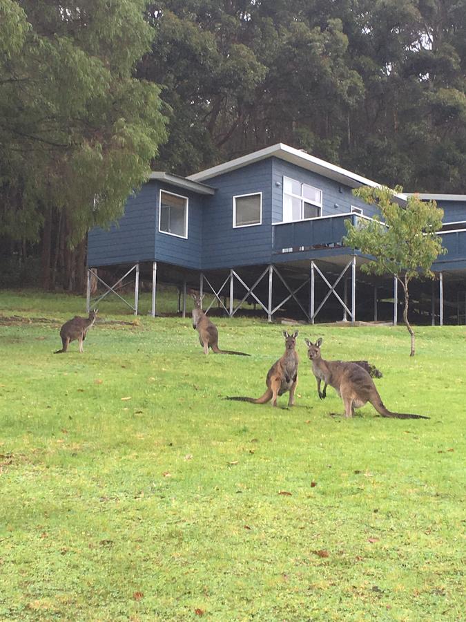 Trent WA VIC Tourism