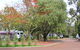 Margaret River Tourist Park - thumb 43